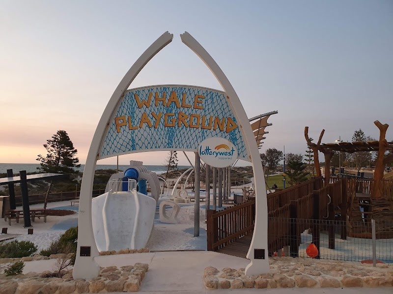 Whale Playground