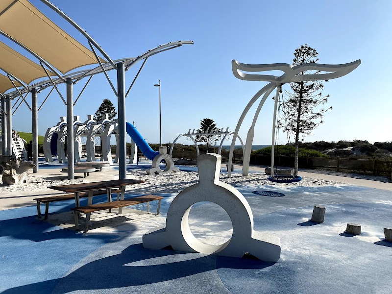 Whale Playground photo 2