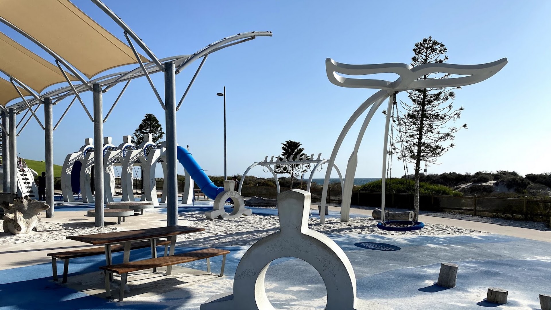 Whale Playground photo 3