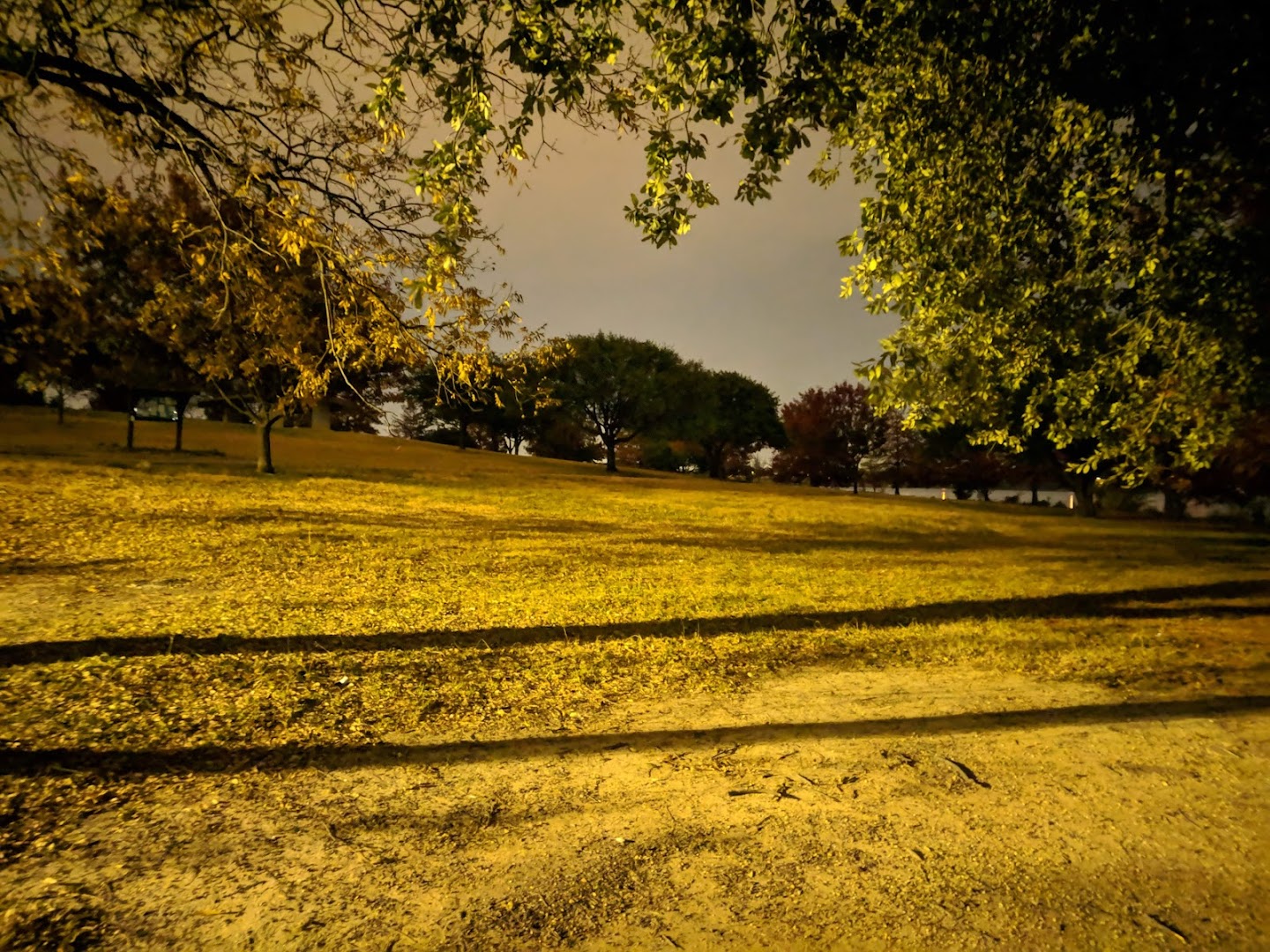 White Rock Creek Trail Playground photo 3