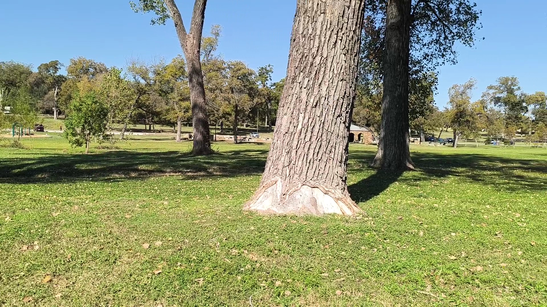 White Rock Lake Stone Tables & Playground photo 2