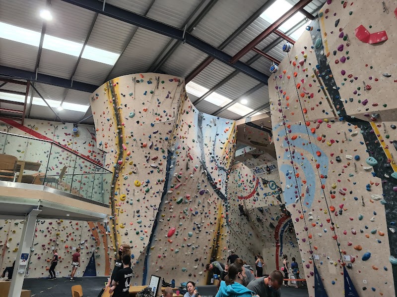 White Spider Climbing photo 2