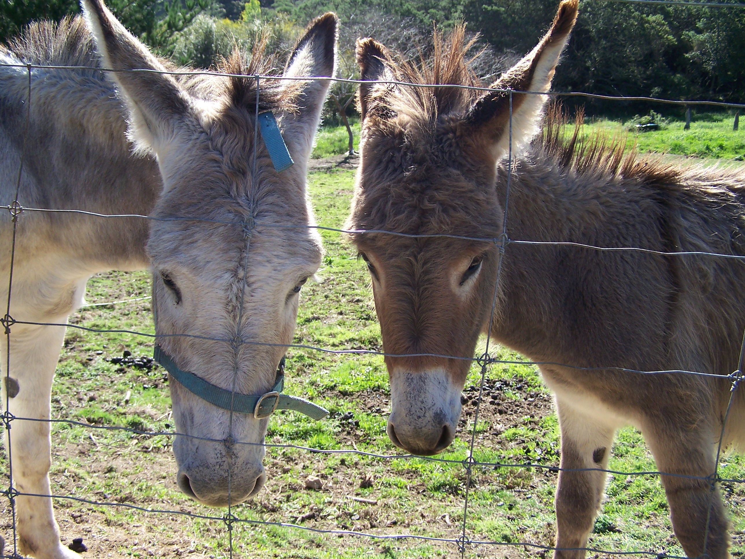 Whiti Farm Park photo 2