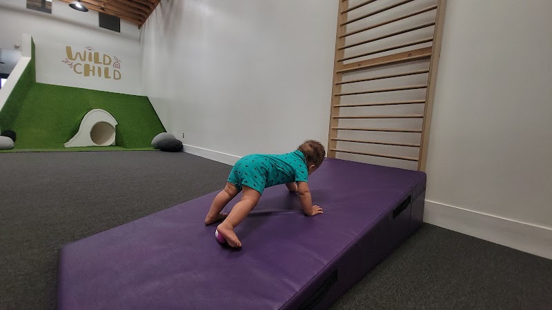 Wild Child Gym