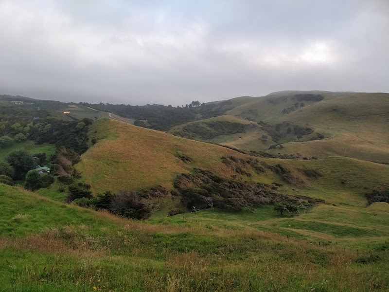 Wild Coast Ruapuke photo 2