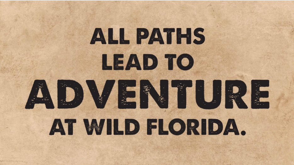 Wild Florida Drive-thru Safari Park