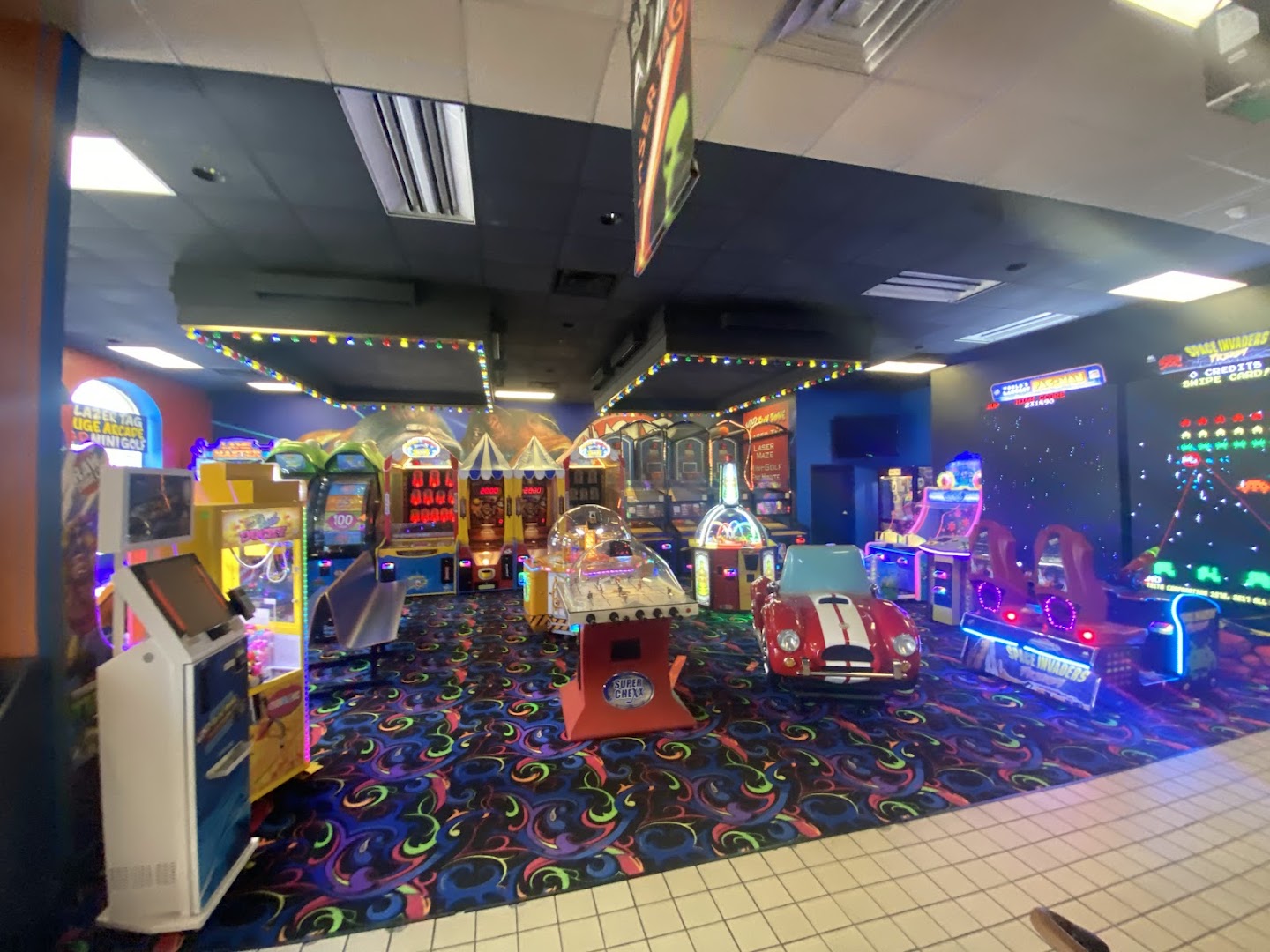 Wild Fun Zone