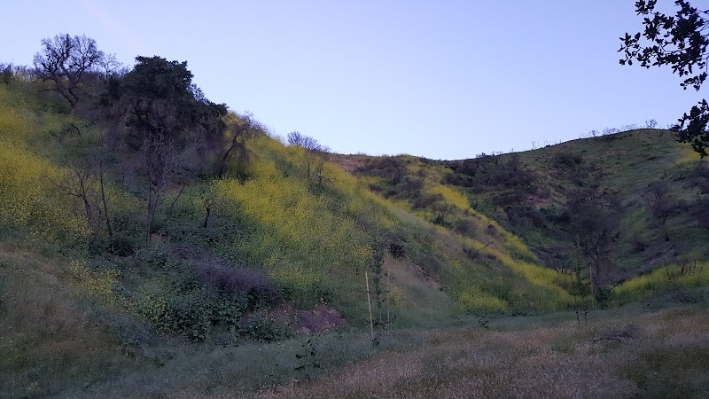 Wild Walnut Park photo 3