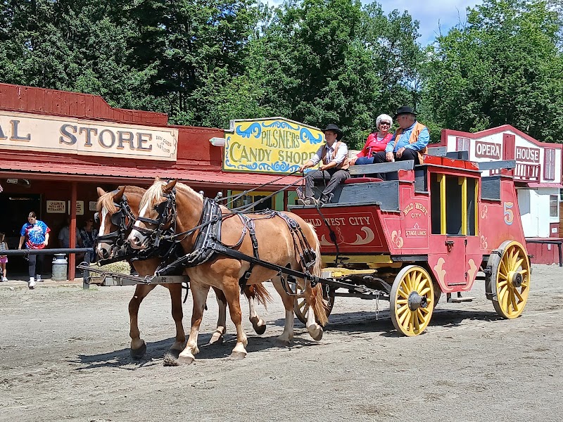 Wild West City photo 2