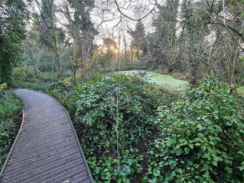 Wilderness Island - London Wildlife Trust photo 2