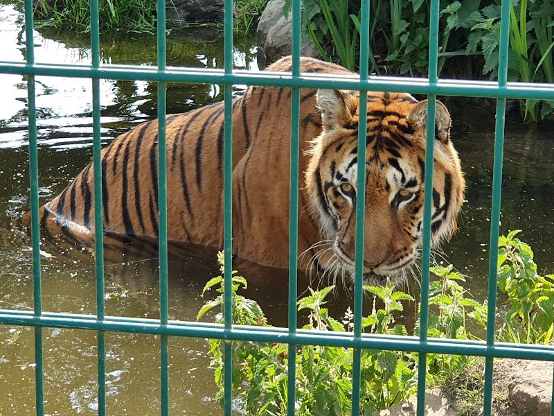 Wildheart Animal Sanctuary, Isle of Wight photo 3