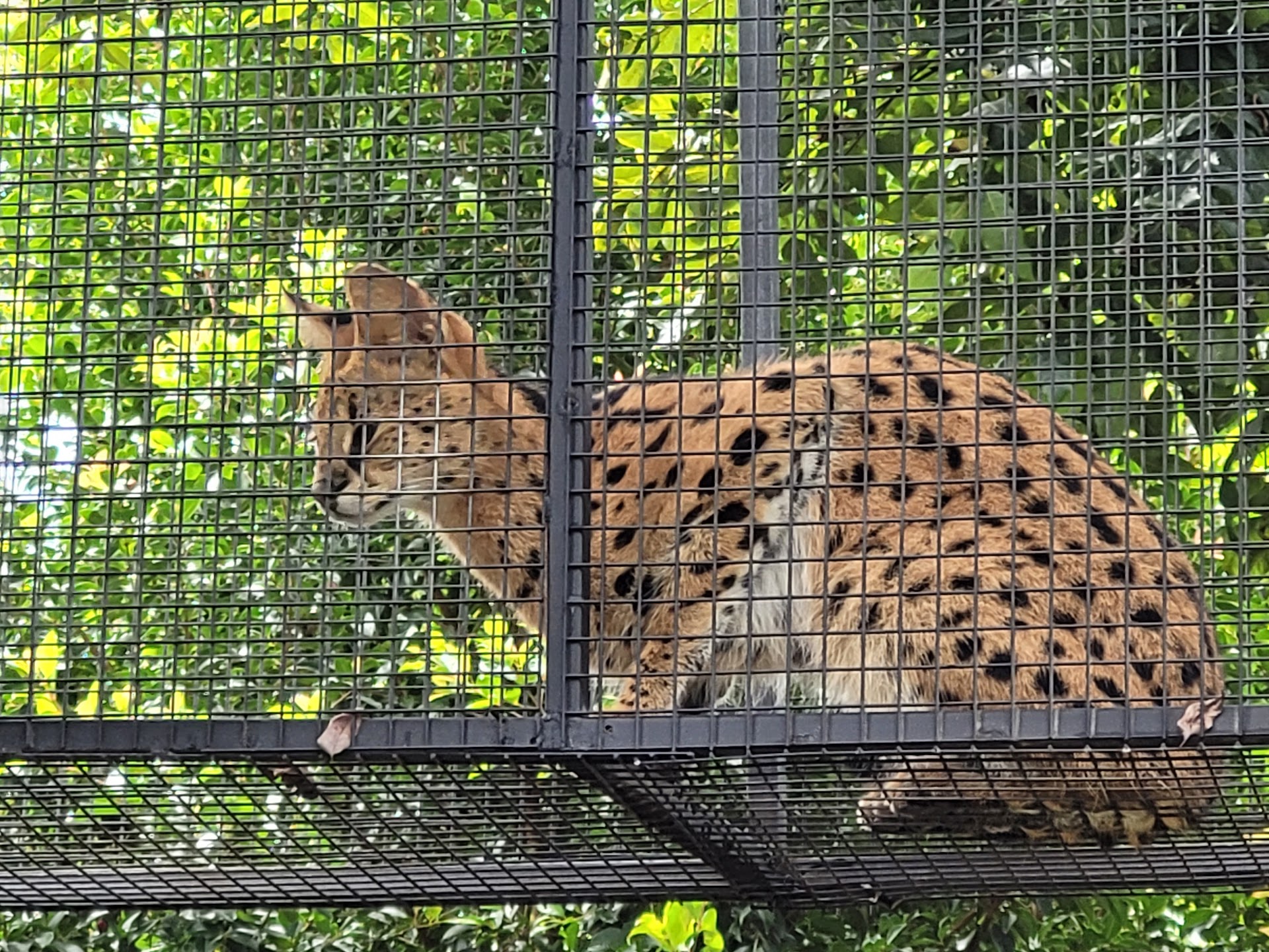 Wildlife HQ photo 2