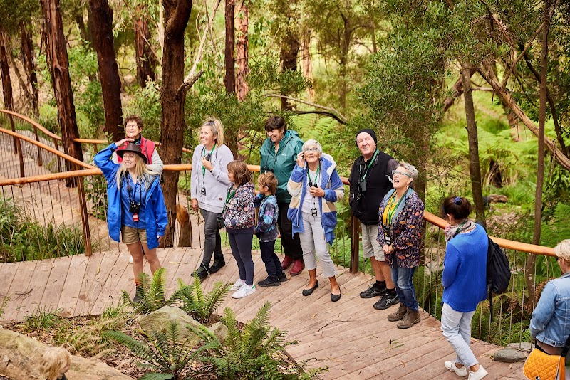 Photo of Wildlife Wonders in Victoria