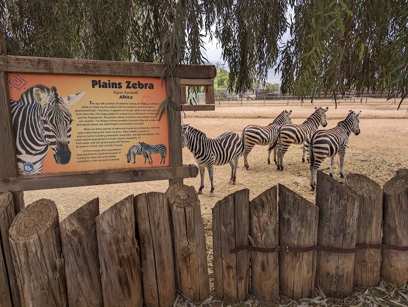 Wildlife World Zoo, Aquarium & Safari Park photo 2