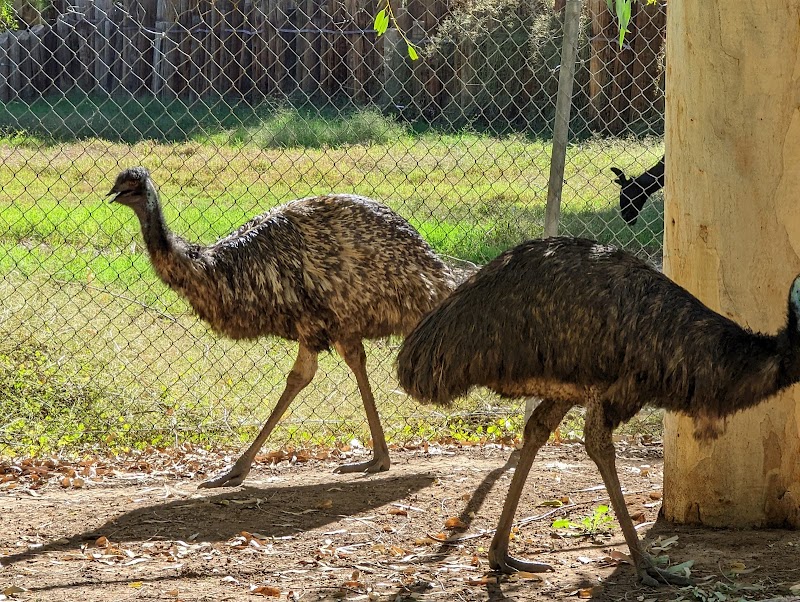 Wildlife World Zoo, Aquarium & Safari Park photo 3