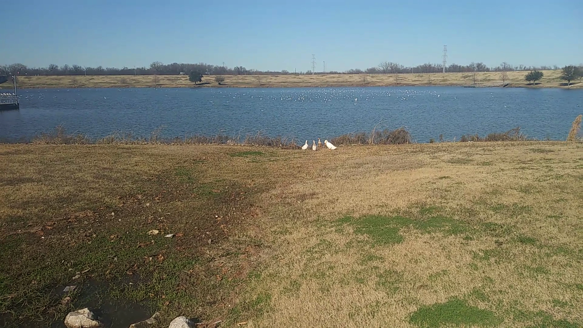 William Blair Jr. Park photo 2