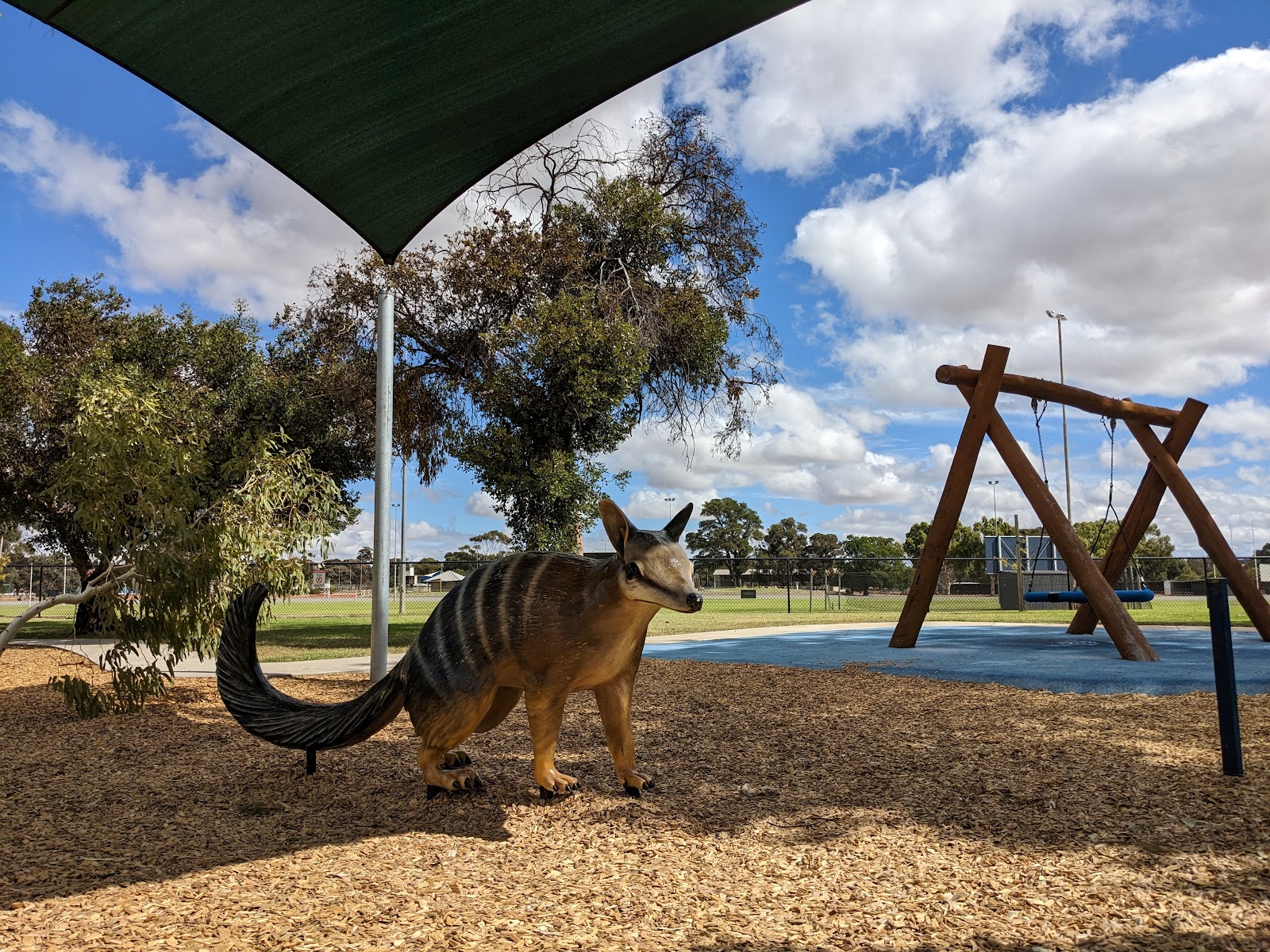 Williams Lions Park photo 3