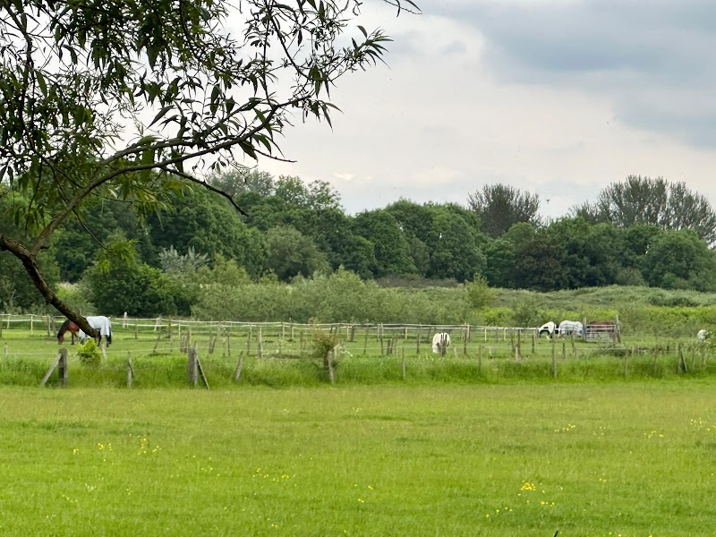 Willow Farm Stables Urmston Flixton Manchester photo 2