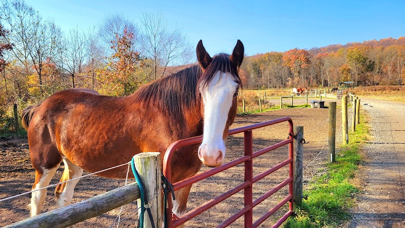 Willow Grove Farm photo 2