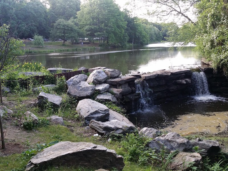 Willson’s Woods Park photo 2