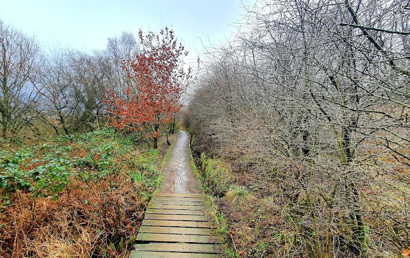 Wince Brooke Park photo 3