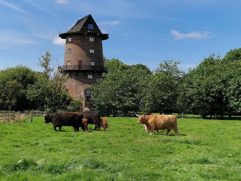 Windmill Animal Farm