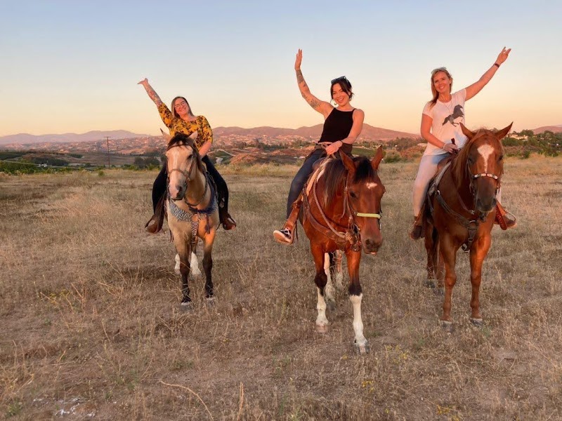 Wine Country Trails by Horseback photo 2