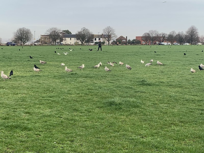 Winn's Common photo 2