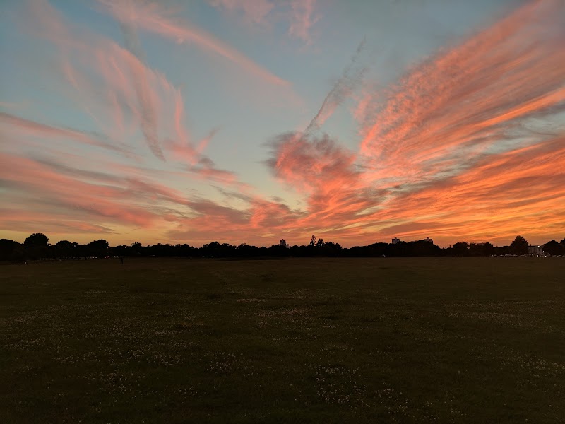 Winn's Common photo 3