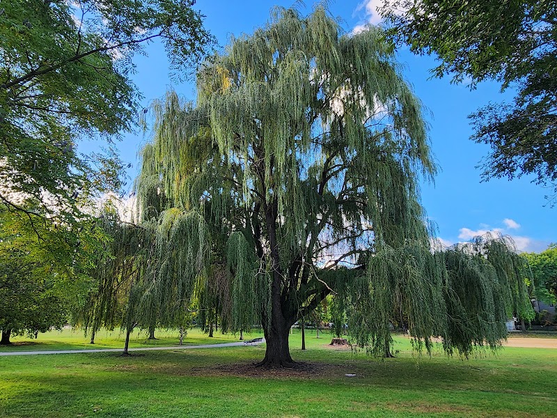 Winnemac Park photo 2