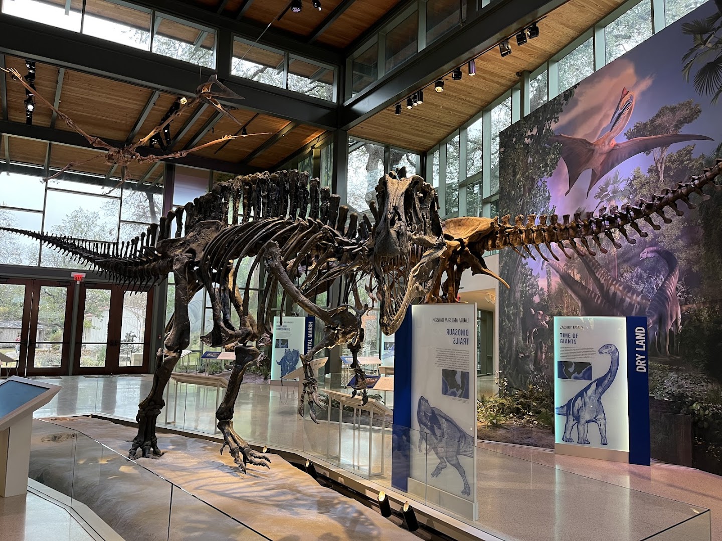 Witte Museum photo 2