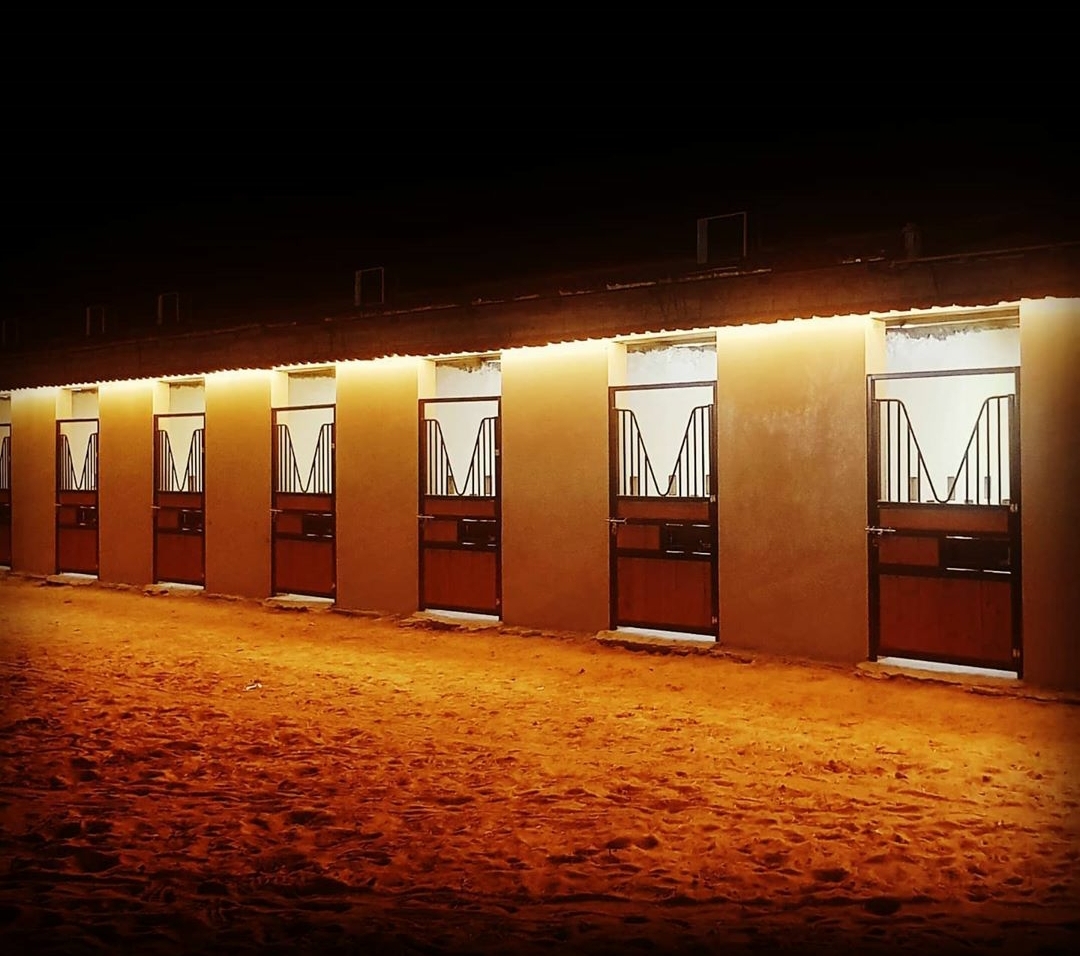 أسطبلات الذيب للقدره wolf stable photo 5