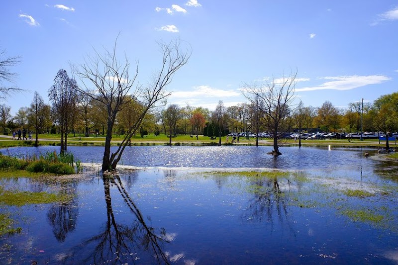 Wolfe's Pond Park Skating field