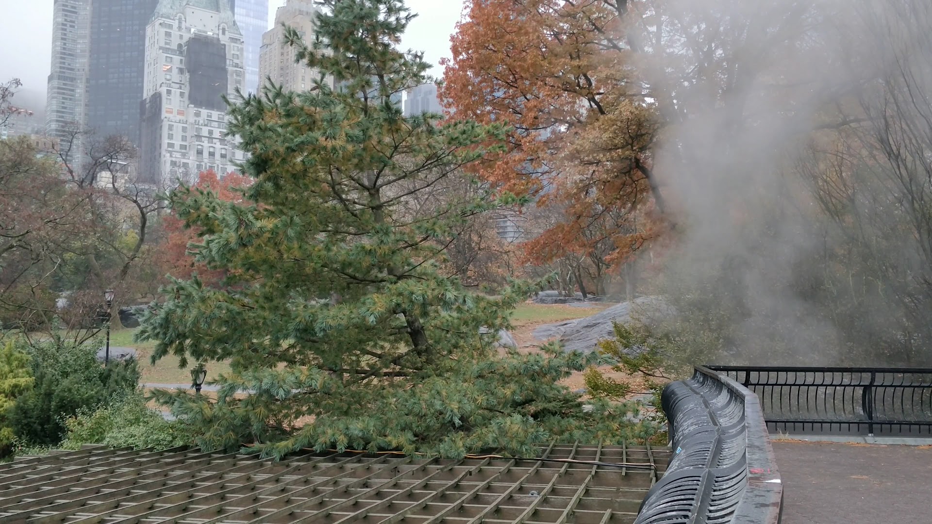 Wollman Rink photo 2