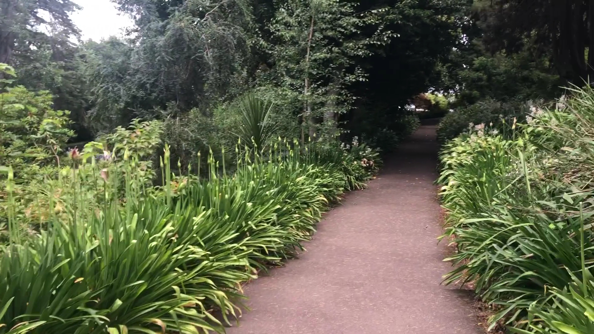 Wombat Hill Botanic Gardens