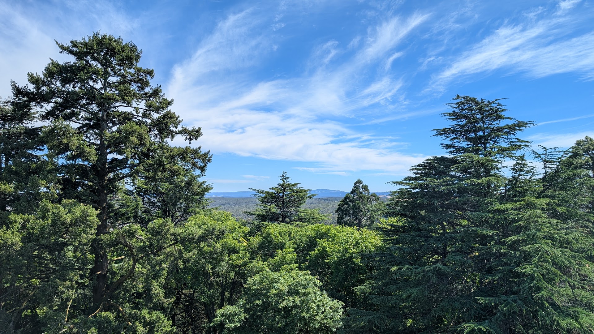 Wombat Hill Botanic Gardens photo 3