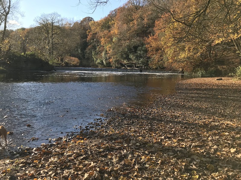 Woodbank Park photo 2