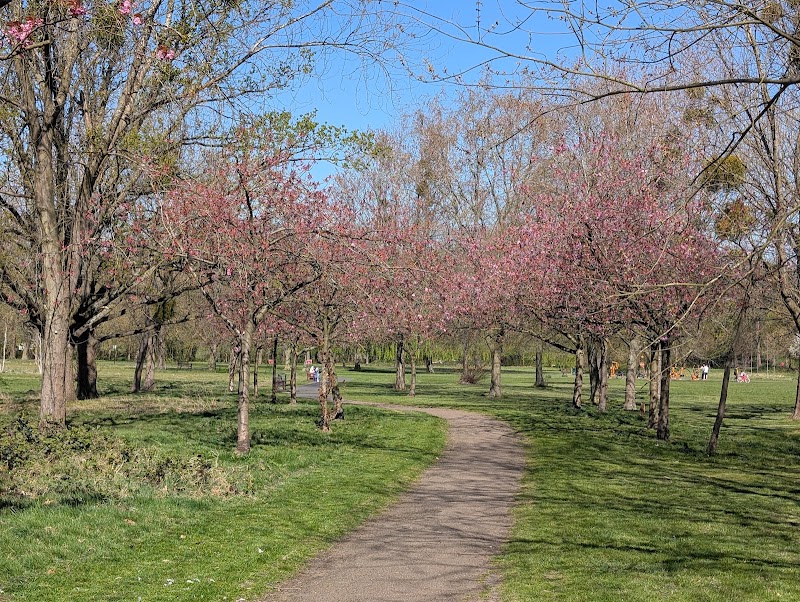Woodcock Park photo 3