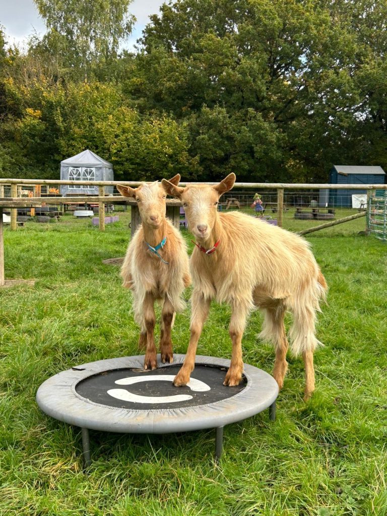 Woodgate Valley Urban Farm