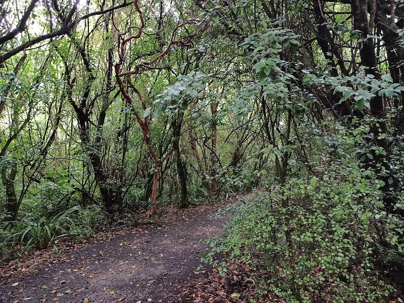 Woodhaugh Gardens