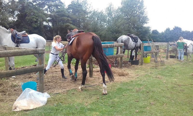 Woodhill Sands Equestrian Events Centre photo 2