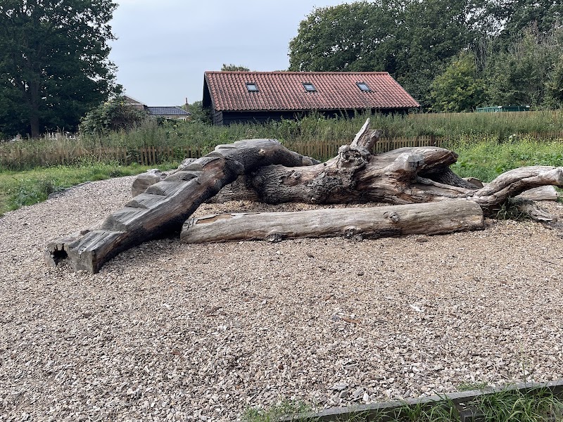 Woodland Play Area