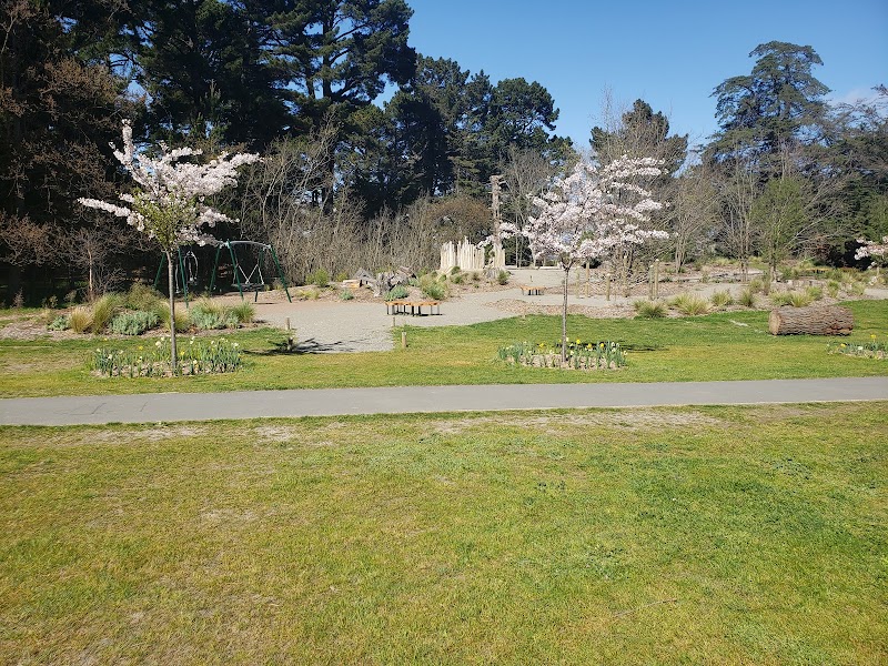 Woodland Playground