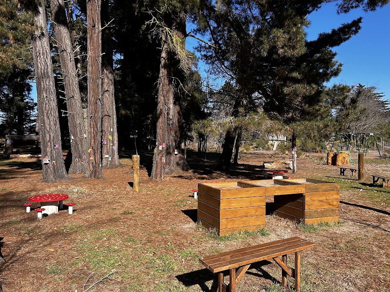 Woodland Playground photo 2