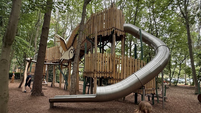 Woodlands Adventures