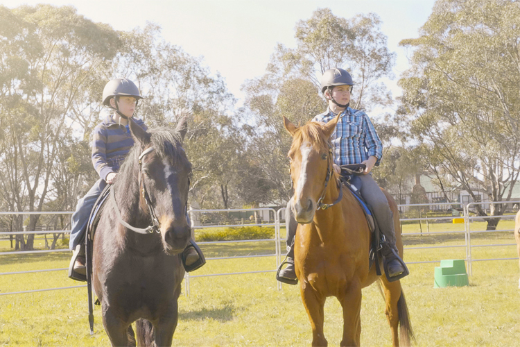 Woodlands Trail Riding (Riding Location)
