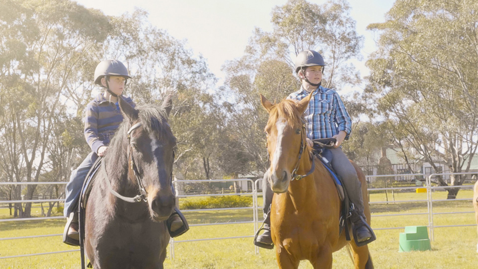 Woodlands Trail Riding (Riding Location)