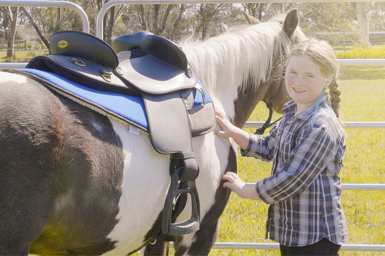 Woodlands Trail Riding (Riding Location) photo 3