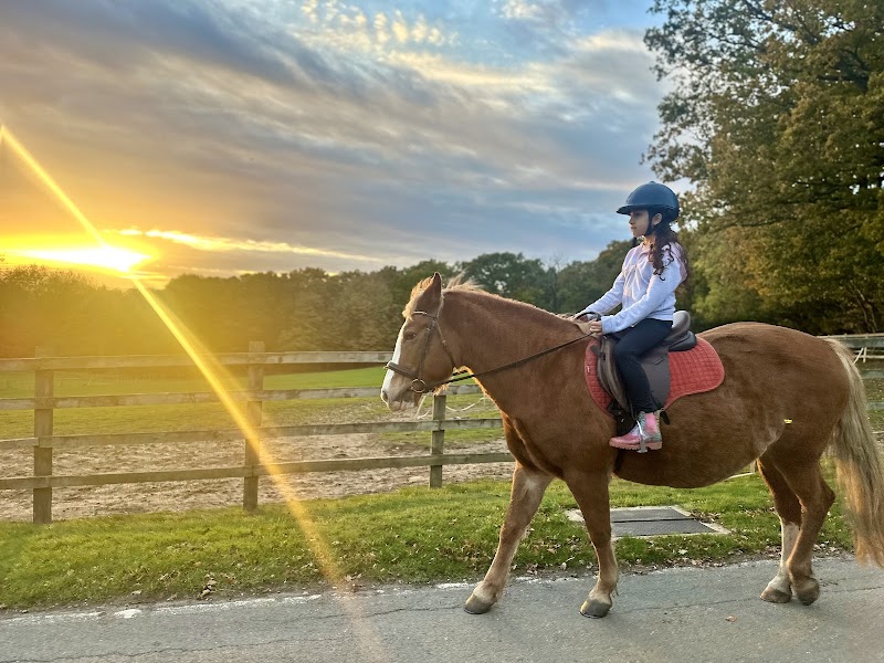 Woodredon Equine Centre