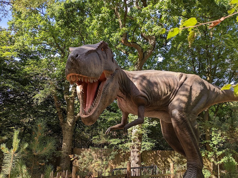 World of Dinosaurs
